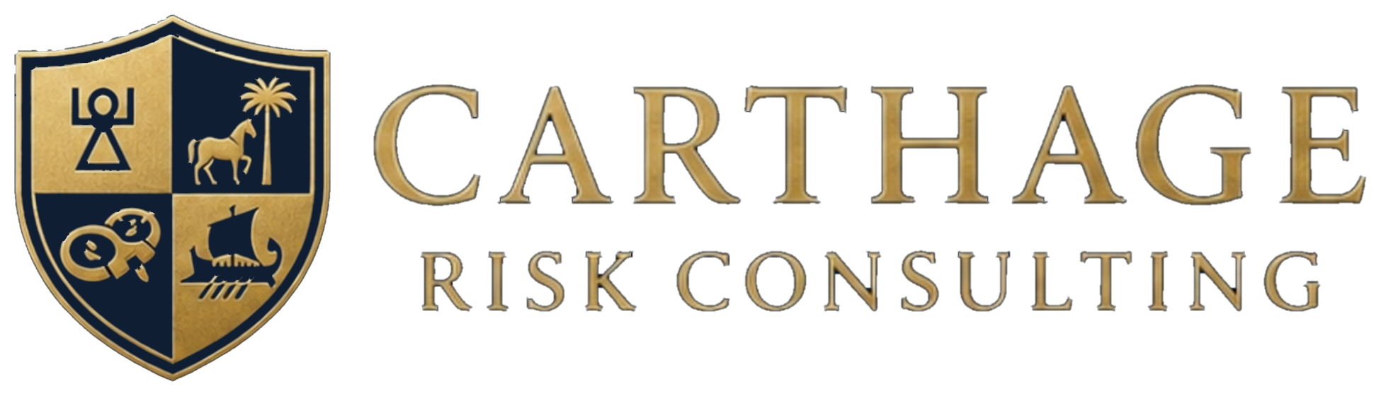 Carthage Risk Consulting
